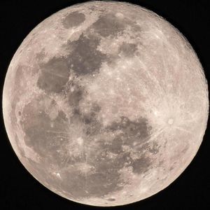 Meet your Posher, Gil